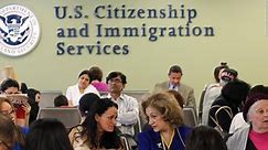 Cómo revisar tu estatus inmigratorio por internet para consultar tu visa, residencia y más