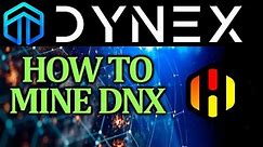 How to Mine Dynex | DNX in HiveOS