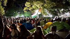 Pro-Palestinian protesters attempting to pitch tents on Tulane campus clash with police