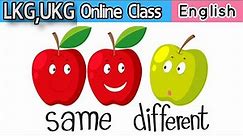 Same and Different | Pre Number Concept | Same or different lesson plan | Math Online class EP - 1