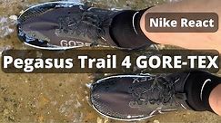 Nike React Pegasus Trail 4 GORE-TEX
