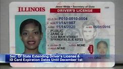 Illinois Secretary of State Office extends expiration dates for driver's licenses, ID cards