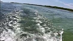 Newport Vessels NT300 on Pelican Catch PWR 100 kayak #florida #kayak #nt300 #newportvessels