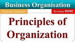 Principles of Organization, Principles of organising, Business organisation b.com, bba