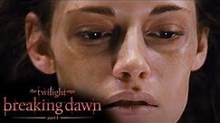 'Edward Tries To Save Bella' Scene | Twilight: Breaking Dawn Part 1 (2011)