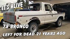 78 Bronco Ranger XLT Gets A New Lease On Life!