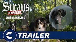Official Trailer 2 STRAYS 🐾🐶 - Cinépolis Indonesia