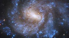 Hubble telescope views an entrancing galaxy about 58 million light-years away | Science-Environment
