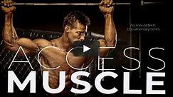 ACCESS MUSCLE: The Gym Culture