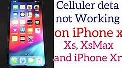 How to fix Apple iPhone XS Max cellular data that is not working