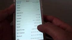 iPhone 6: How to Find the Serial Number