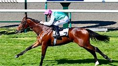 Mini plunge on French import in Aussie debut at Sandown