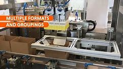 American Box Pick-and-Place Automatic Packaging Machine