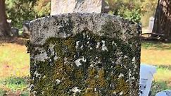 George Hucksteadt, 1815-1903. 🕊️ #gravestonecleaning #cemetery #gravestone #cleantok #preservation #taphophile #familyhistory