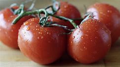 How to Fertilize Tomatoes for a Big Harvest