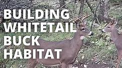 Creating The Ultimate Whitetail Buck Habitat