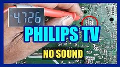 Philips tv no sound picture ok