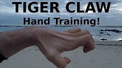 Tiger Claw Kung Fu - Hand Position and Conditioning!