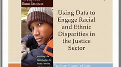 Identifying Racial and Ethnic Disparities in the Criminal and Juvenile Justice Systems thro