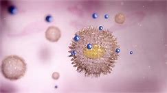 T Cell Activation Inside Human Bodu Stock Footage Video (100% Royalty-free) 1061631016 | Shutterstock