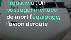 Vol Oran-Paris de Transavia : Un passager menace de mort l'équipage, l'avion dérouté