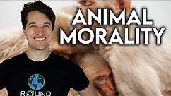 If We Are Animals, Where Is Morality?