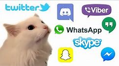 Cat MEOW but Social Media ringtones