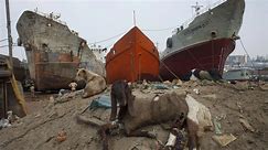 Inside ship graveyards where liners rot and child 'slaves' break them down