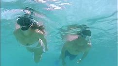 Snorkeling in The Dry Tortugas