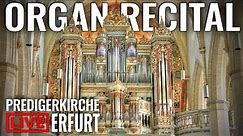 🔴 Organ Recital + Overview of Predigerkirche, Erfurt (Germany) // @PiotrGrabowski_Organs