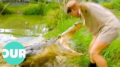Can Steve Irwin Capture The Australian Saltwater Crocodile? | Our World