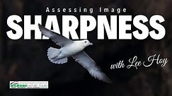 Assessing Image Sharpness