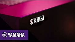 Yamaha's AVENTAGE Flagship 2021 AV Receivers - Part 6 | Yamaha Music