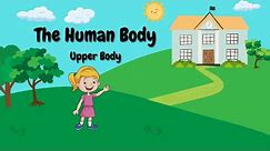 The Human Body: Upper Body | Parts of the Body | English | ELL | Pre-K | Kindergarten | First