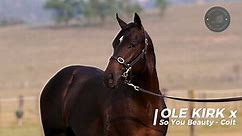 Ole Kirk x So You Beauty colt with Bjorn Baker