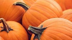 50 Pumpkin Quotes and Puns That Are Too Gourd to Be True