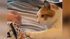 Adorable moment cat welcomes newborn baby to the family