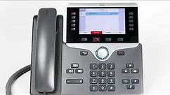 Cisco 8841 - Make a Call
