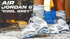 Air Jordan 6 " Cool Grey " Review and On Foot !