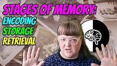 Stages of Memory: Encoding, Storage, and Retrieval