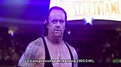 The Undertaker Biography | WWE Superstar