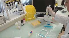 IDvet tutorial: How to perform an ELISA test (protocol for poultry testing)