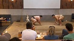 Sumo wrestling takes center stage at Japanese restaurant