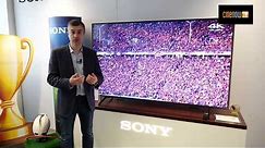 Sony TV 2020 : KD-85XH8096, KD-75XH8096, KD-65XH8096, KD-55XH8096 et KD-49XH8096