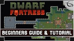 Dwarf Fortress: A Beginners Guide & Tutorial [Steam Edition]