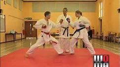 Sport Karate Rules & Scoring