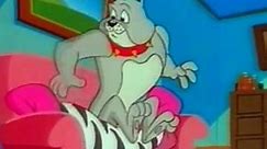 Tom & Jerry Kids S01E34b Love Me, Love My Zebra