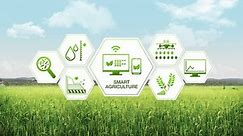 Smart agriculture Smart farming, hexagon information graphic icon, internet of things. 4th Industrial Revolution.1.
