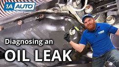 Oily Puddle Under Your Car, Truck or SUV? How to Diagnose Oil Leaks