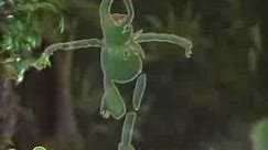 Sesame Street: Kermit Sings Disco Frog